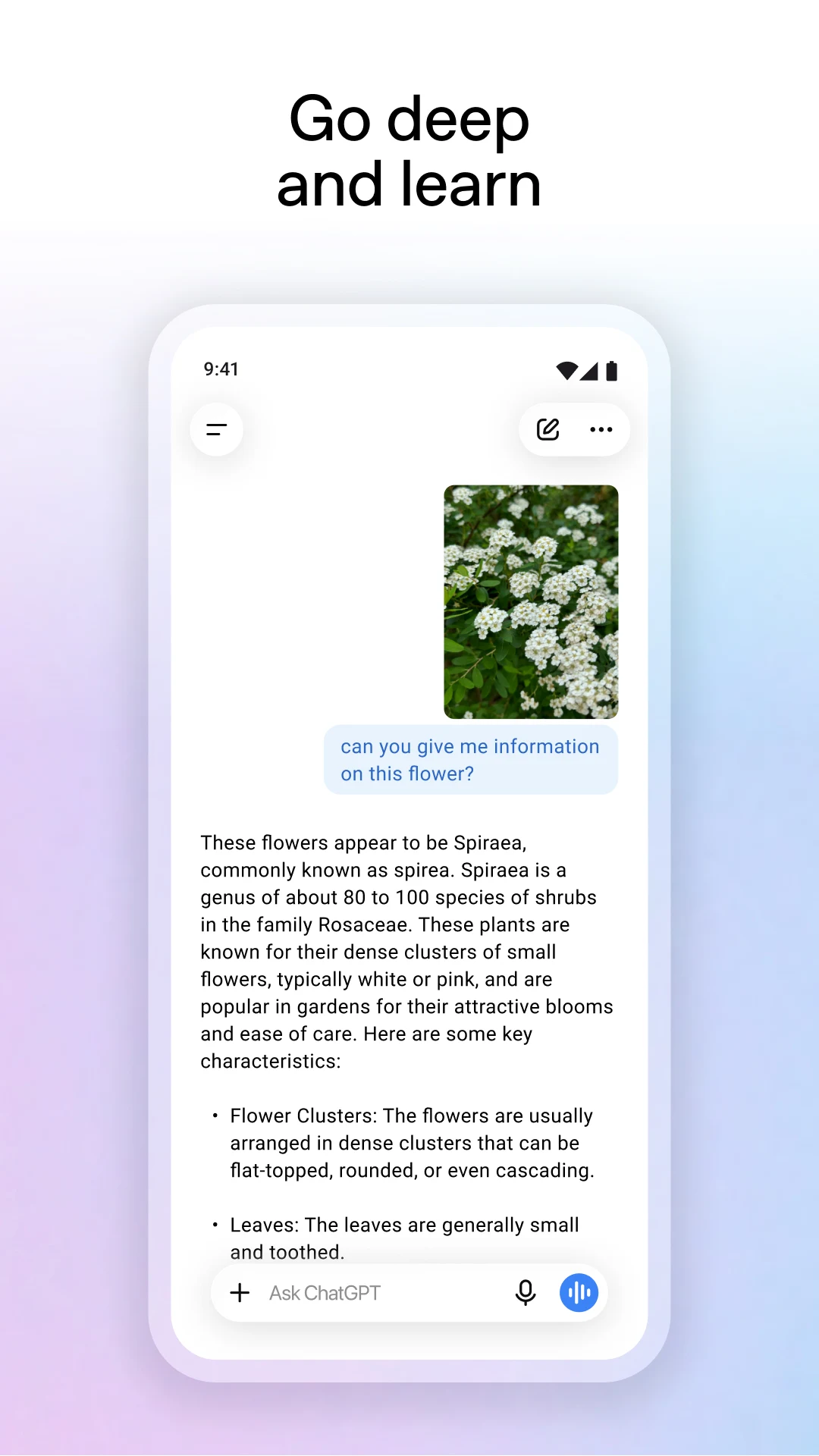 ChatGPT screenshot