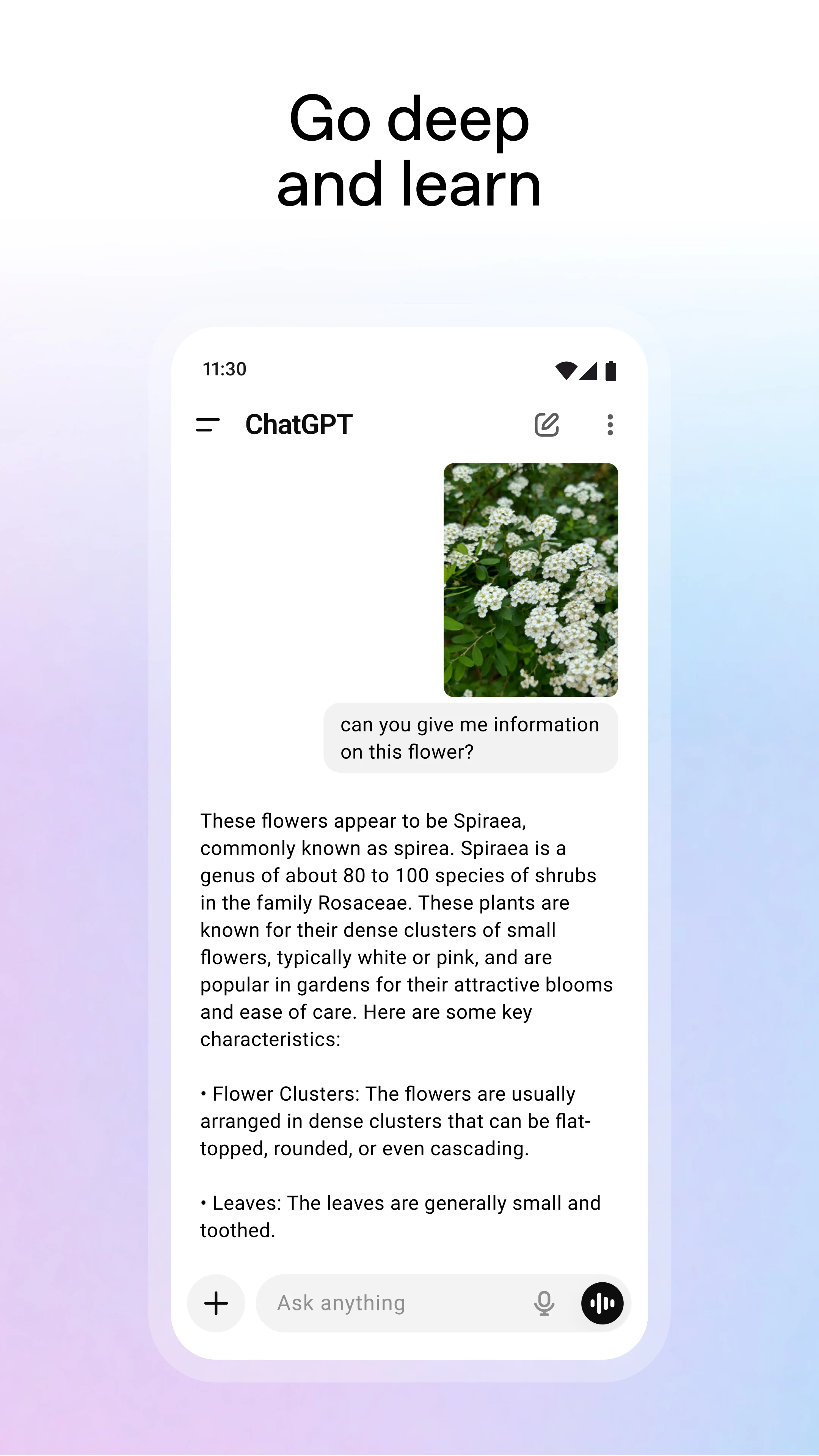ChatGPT screenshot
